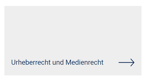 Urheberrechtliche und medienrechtliche Vertretung